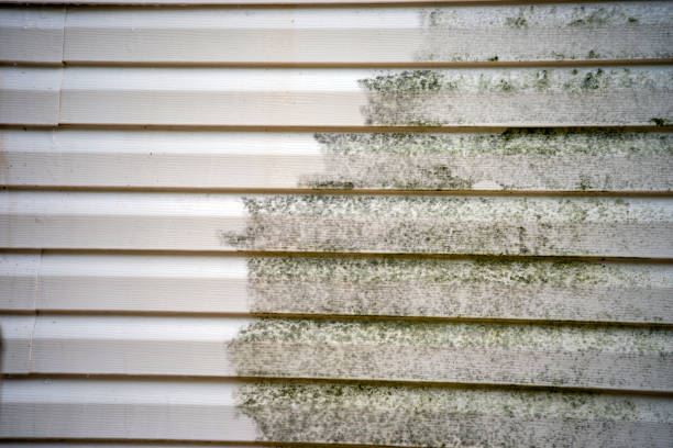 How To Choose The Right Materials for Your Siding Installation in 'Hudson Oaks, TX